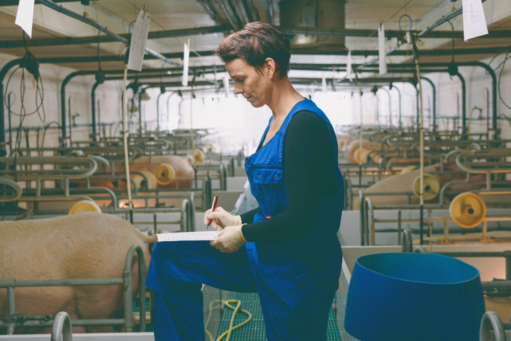 Landwirtschaft + Forstwirtschaft - Tarifglättung - BSB Steuerberatung
